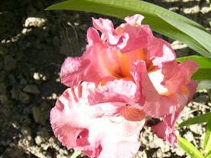 P1210019
