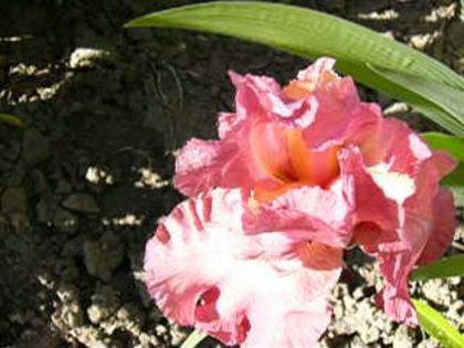 P1210020