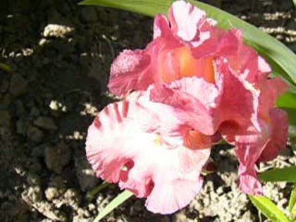 P1210021