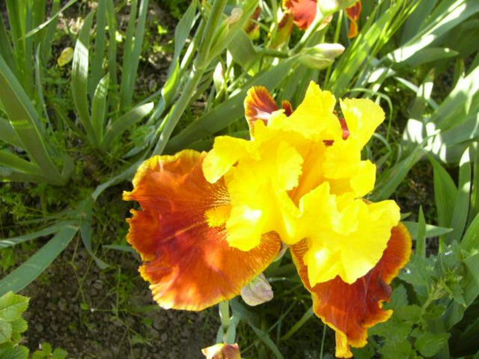 P1210038
