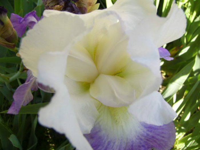 P1210042