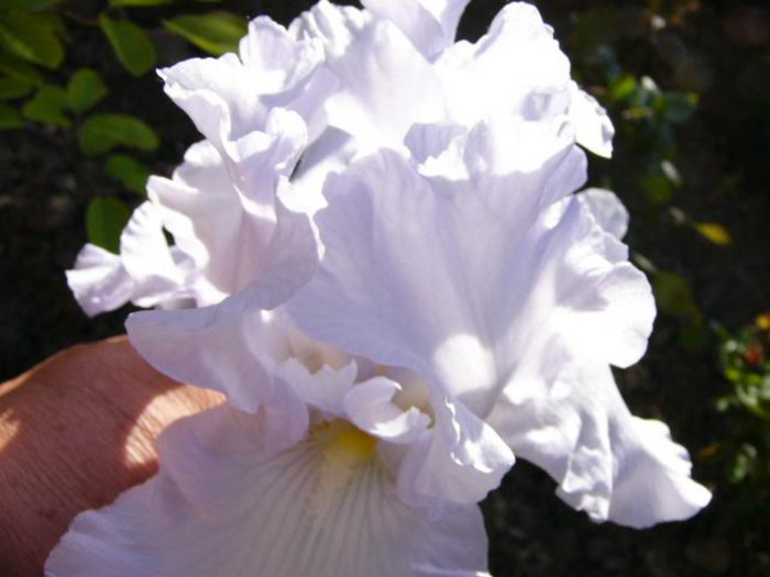 P1210047