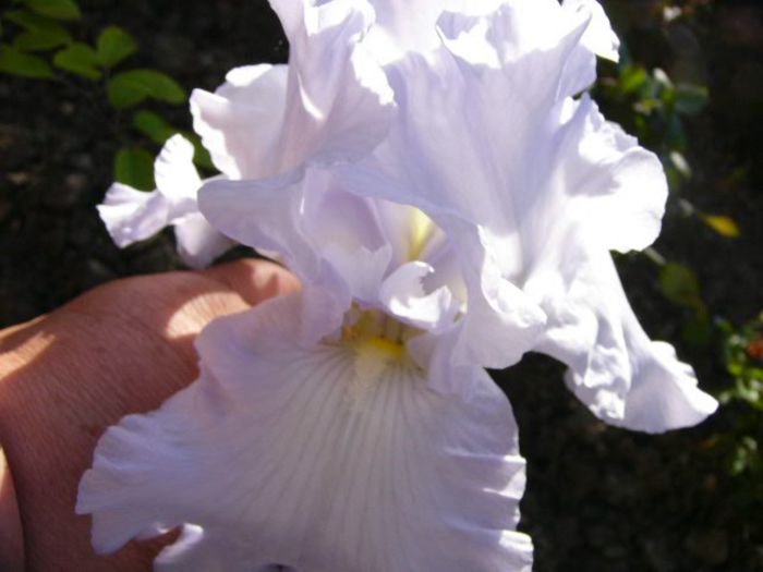 P1210048