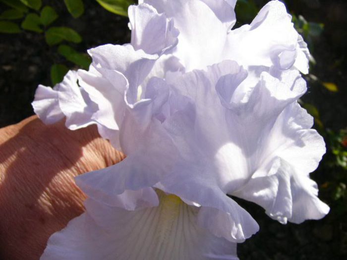 P1210049