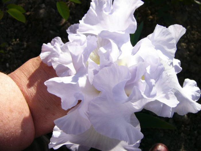 P1210052