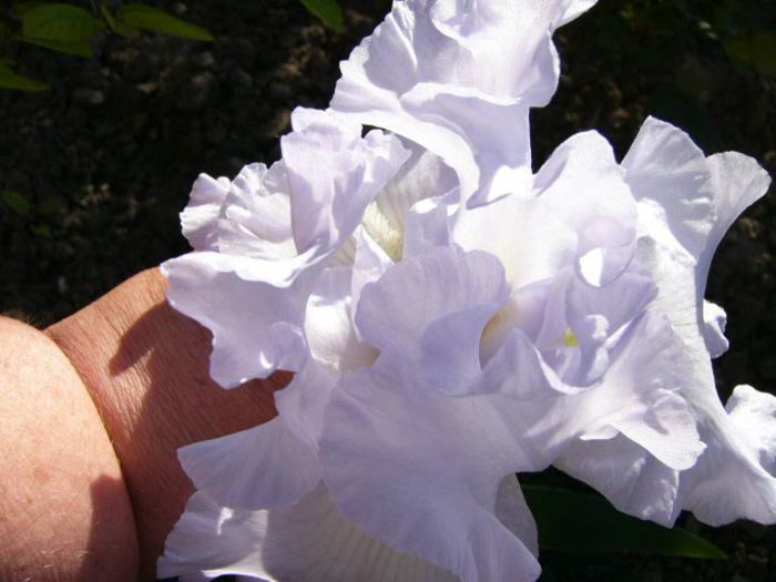 P1210054