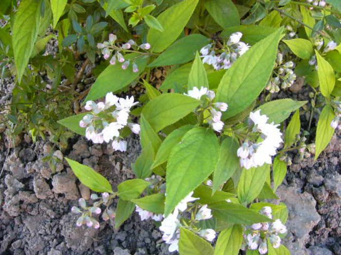 P1210060