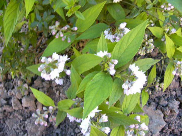P1210061
