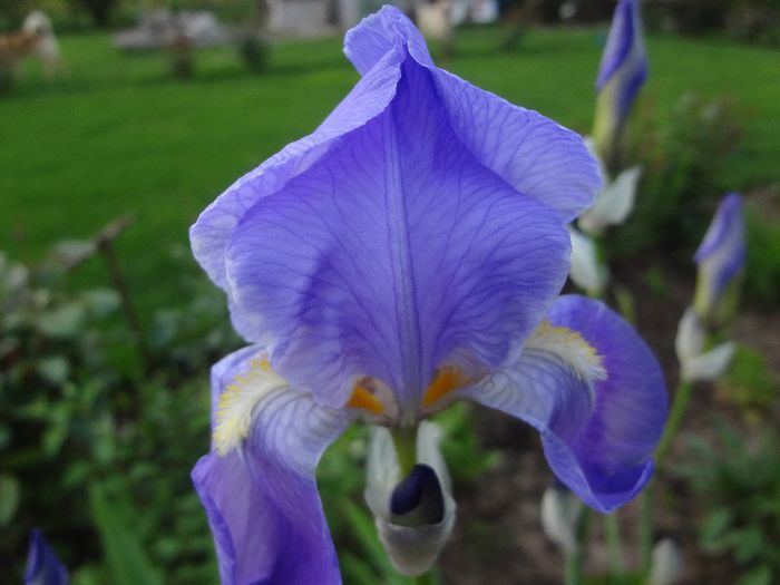 DSC00271