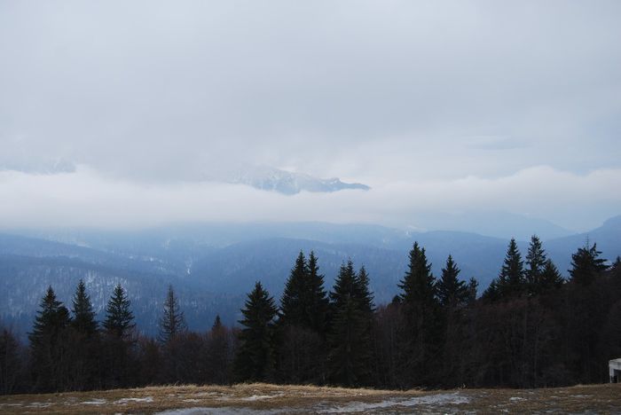 DSC_8408 - CRACIUN