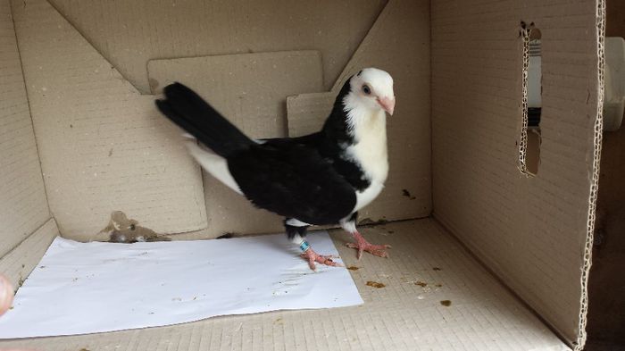 20140509_141111; pui 2014
