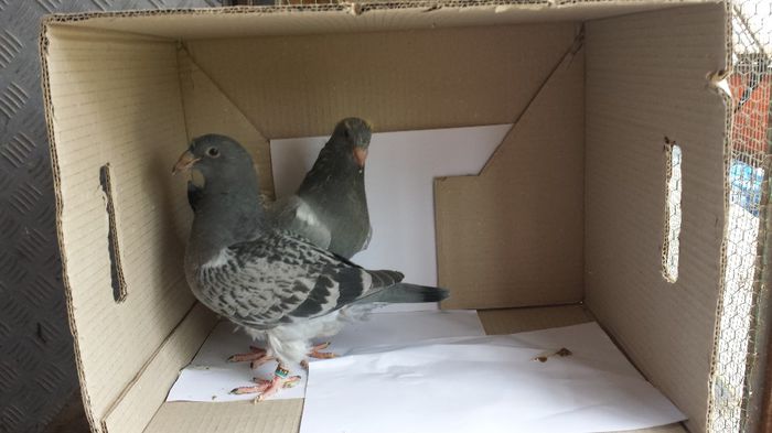 20140509_135541; pui 2014
