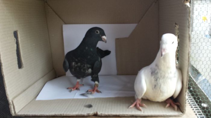 20140509_135329; pui 2014
