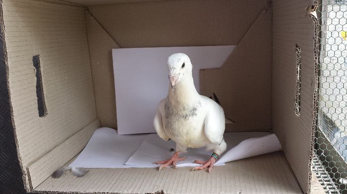 20140509_135401; pui 2014
