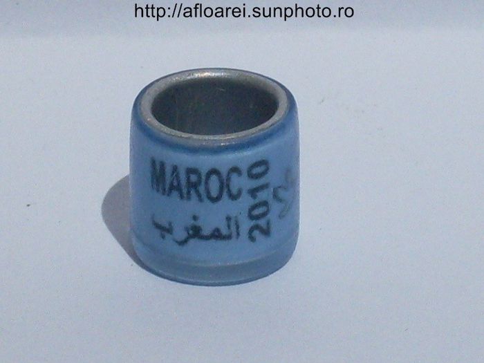 maroc 2010 albastru - MAROC