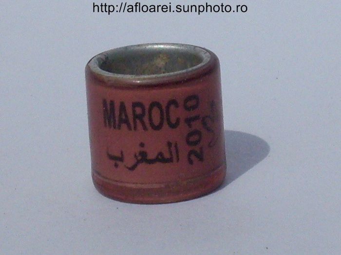 maroc 2010 maro - MAROC