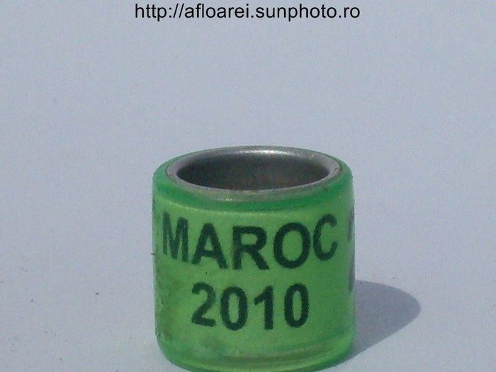 maroc 2010 verde