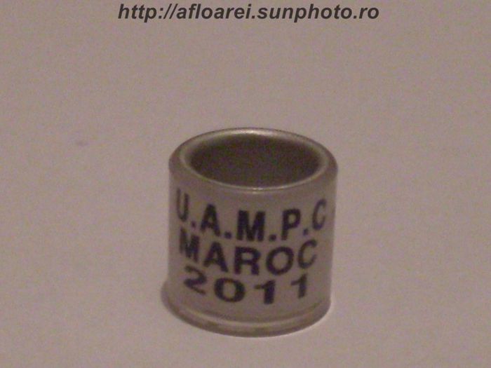 uampc maroc 2011 - MAROC