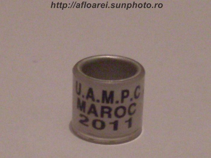 uampc maroc 2011