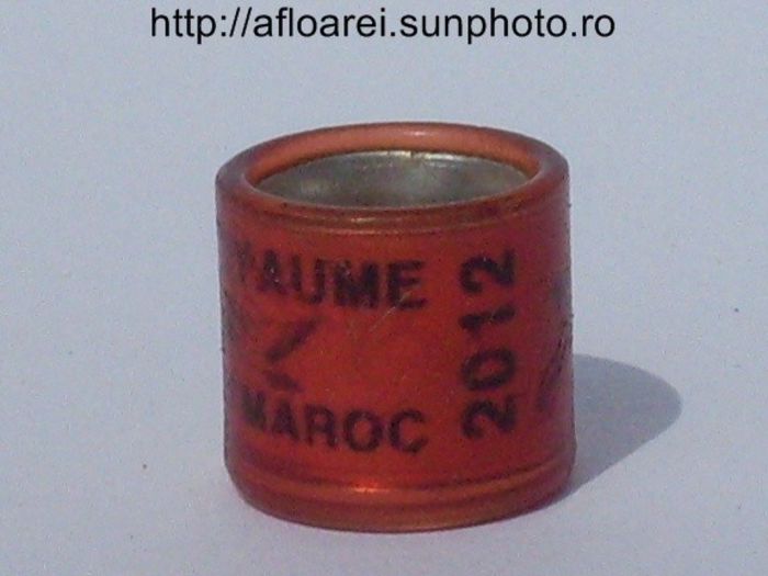 royaume du maroc 2012 ros - MAROC