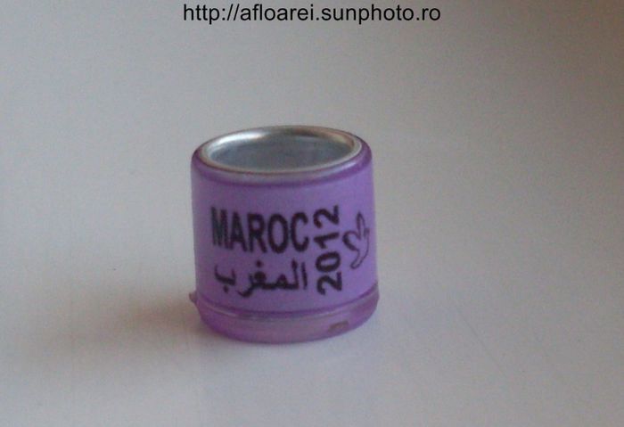 maroc 2012 albastru