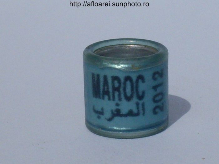 maroc 2012 albastru..