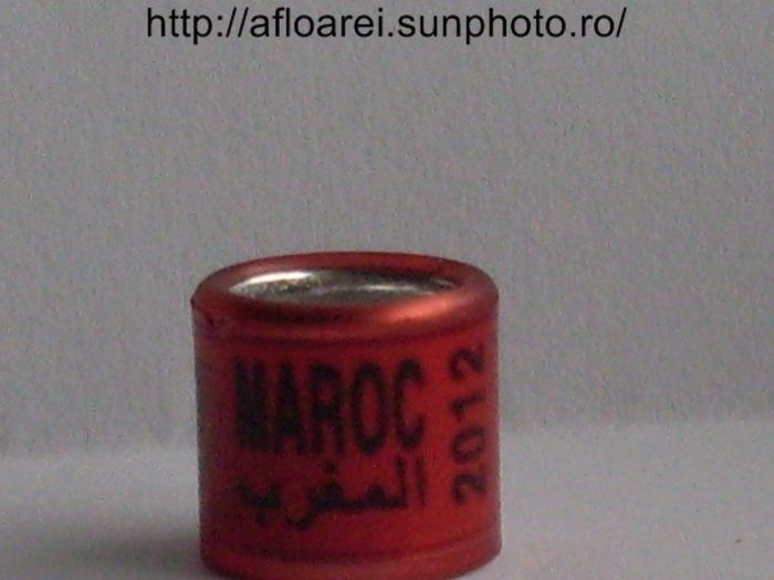 maroc 2012 ros