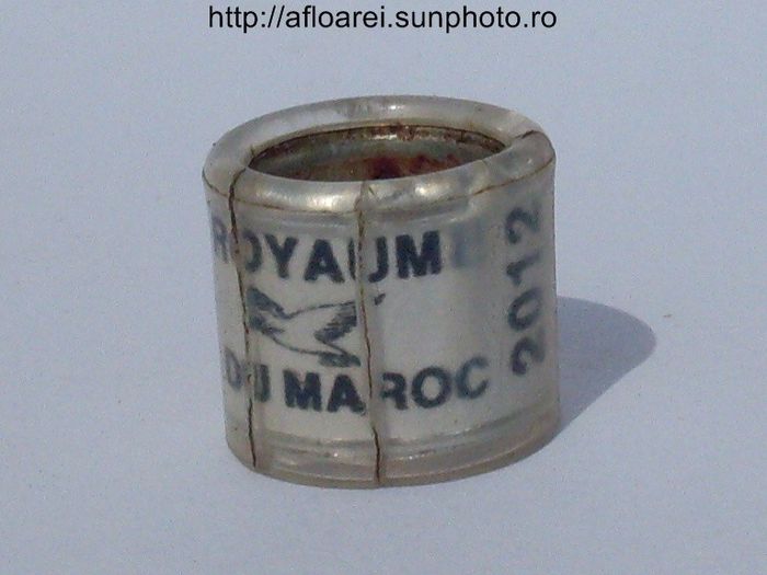 royaume du maroc 2012 alb