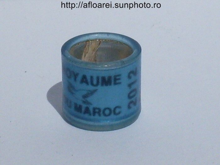 royaume du maroc 2012 albastru