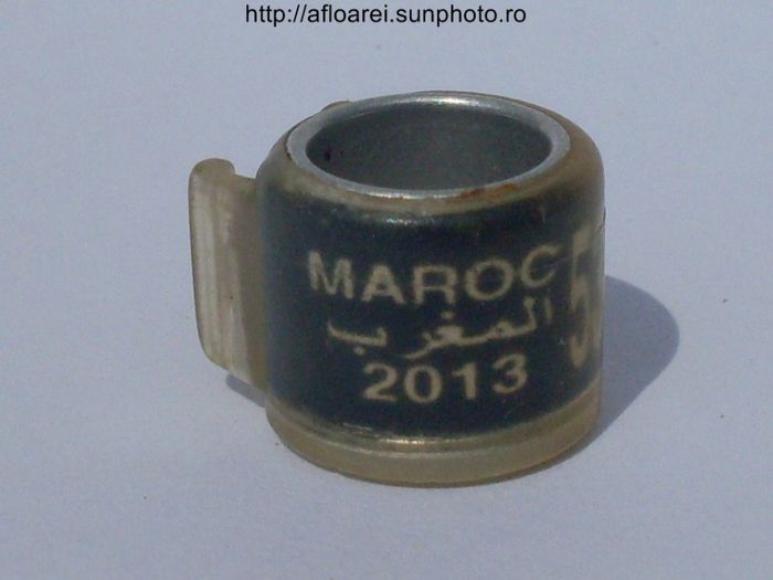 maroc 2013 negru. - MAROC