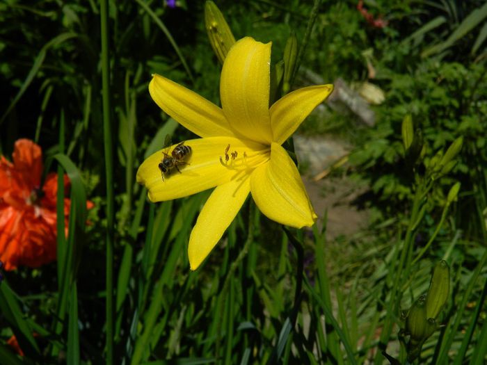 DSCN8877 - MAI_2014
