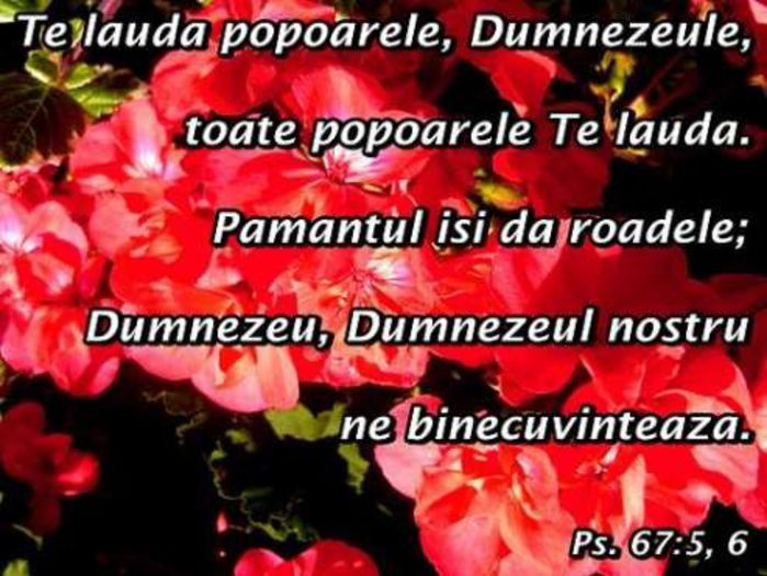 -------------------------- - ALEGE-TI RANDUL LIBER CU MESAJELE DESPRE DUMNEZEU