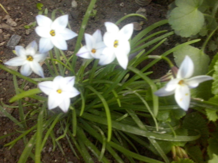 CAM01607 - 2014 FLORI EXTERIOR