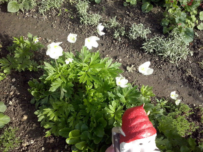 CAM01687 - 2014 FLORI EXTERIOR