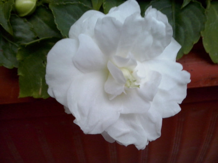 CAM01702 - 2014 FLORI EXTERIOR