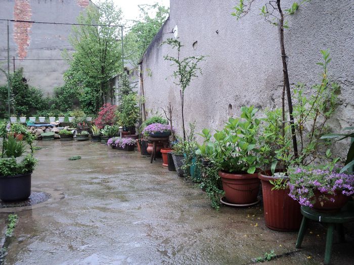 poze 2014 321 mai ,dupa ploaie