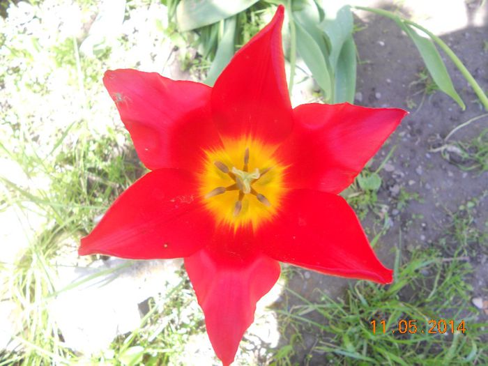 DSCN5005