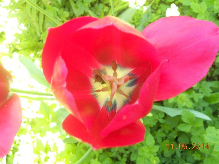 DSCN5029