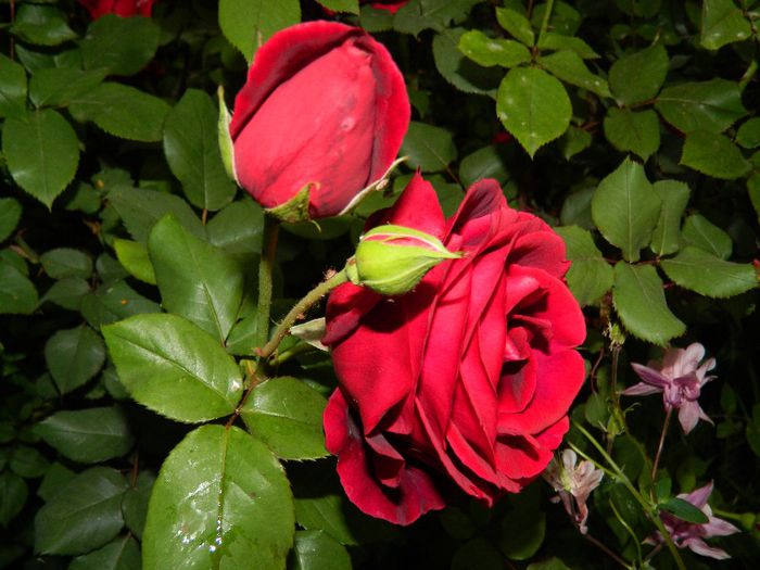 DSCN8769