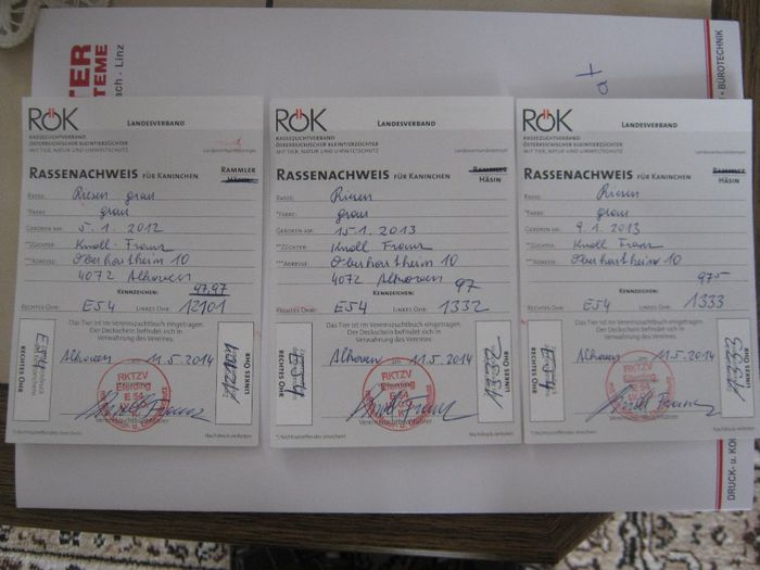 fisa de pedigrii la iepuri-monyka