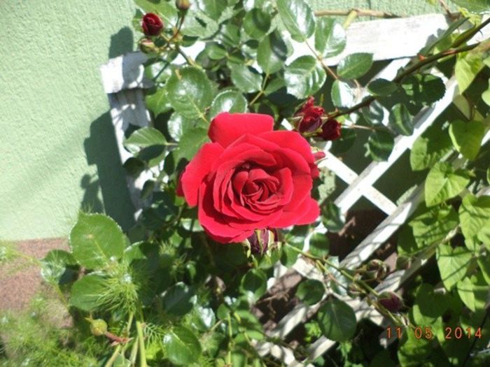 DSC02937