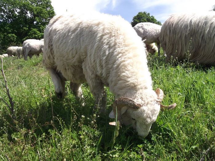 Picture 110 - MiORi 2014