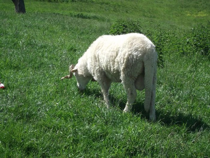 Picture 117 - MiORi 2014