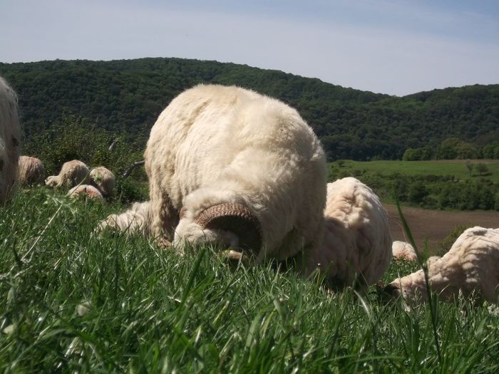 Picture 145 - MiORi 2014