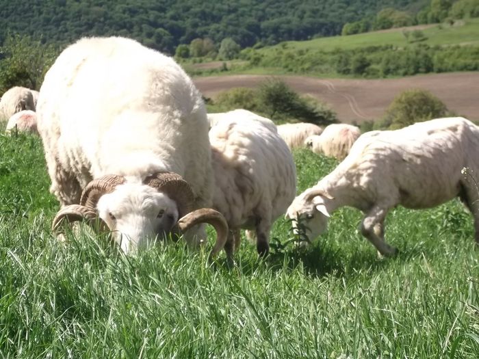 Picture 146 - MiORi 2014