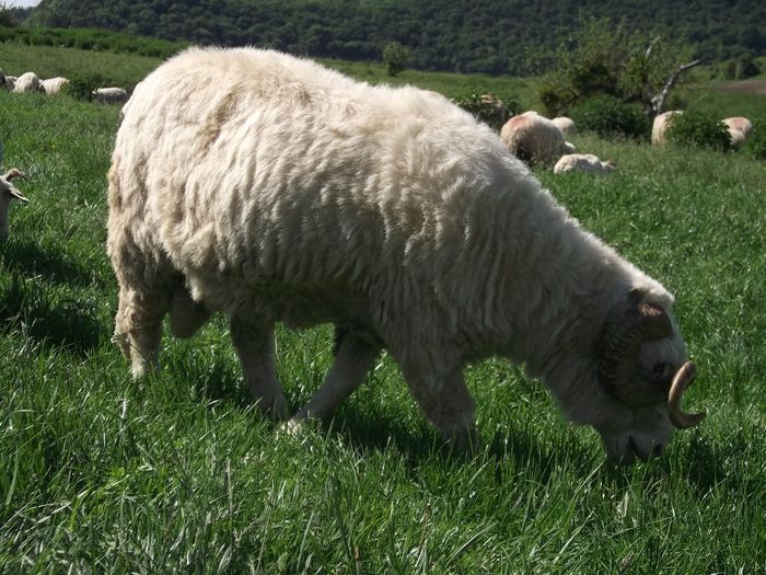 Picture 148 - MiORi 2014