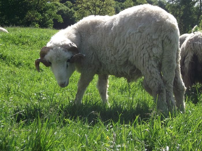 Picture 150 - MiORi 2014