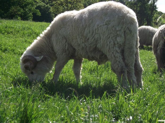 Picture 151 - MiORi 2014