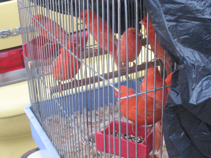 Picture 093