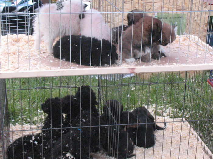 Picture 117